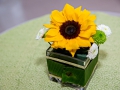 IHF_0069.jpg